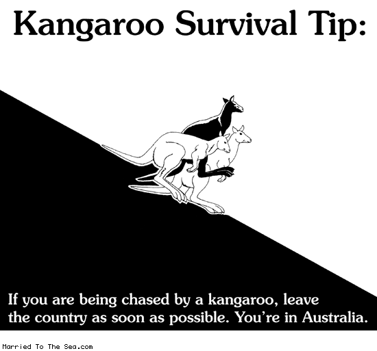kangaroo-survival-tip.gif